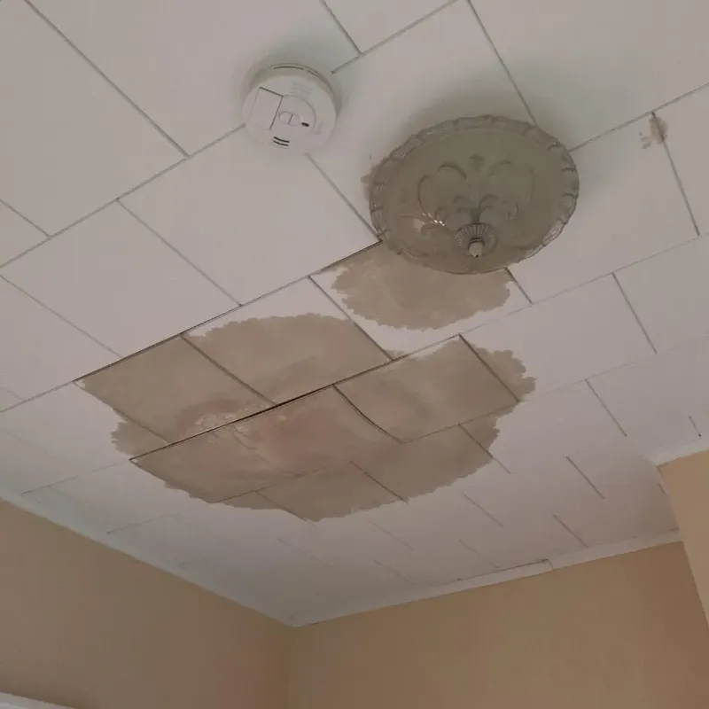 Ceiling Water Damage Repair in Foothill Ranch, CA