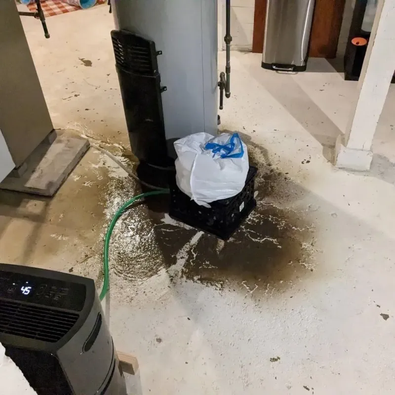 Sewage Backup Cleanup Service in Foothill Ranch, CA